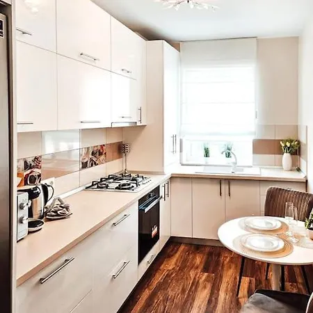 Apartment Cozy Stylish Brasov