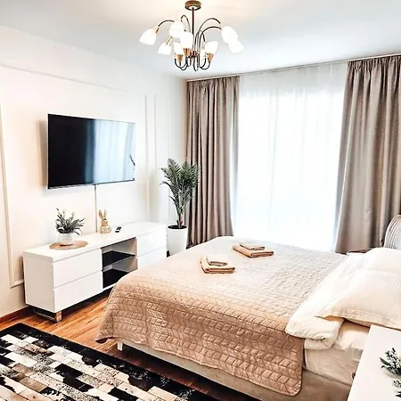 Cozy Stylish Brasov