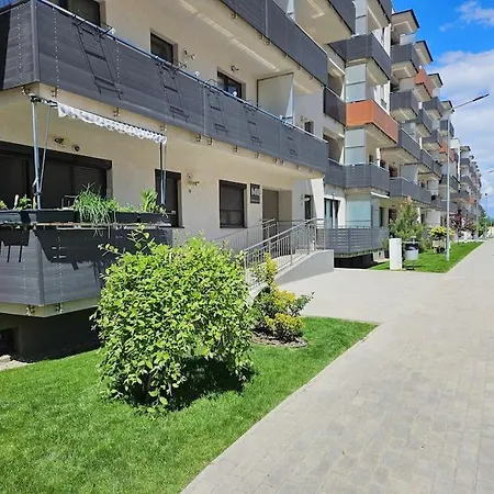 Cozy Stylish Apartment Brasov