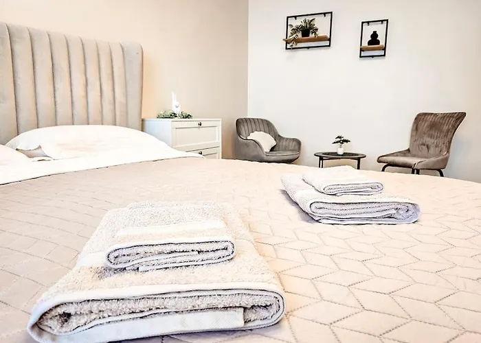 Apartment Cozy Stylish