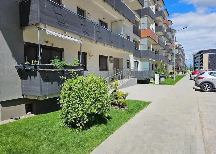 Cozy Stylish Apartment Brasov